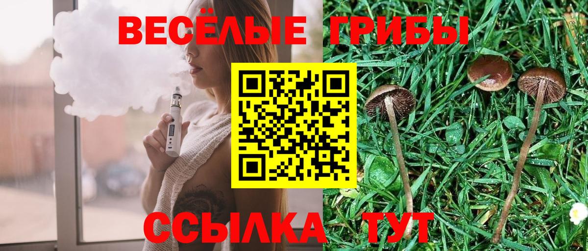 Черногорск  купить наркотик  Вход с VPN  Галлюциногенные грибы MAGIC MUSHROOMS 