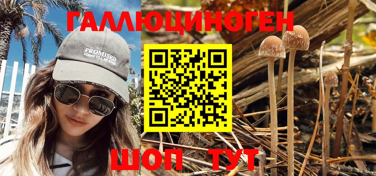 Псилоцибиновые грибы Magic Shrooms Черногорск
